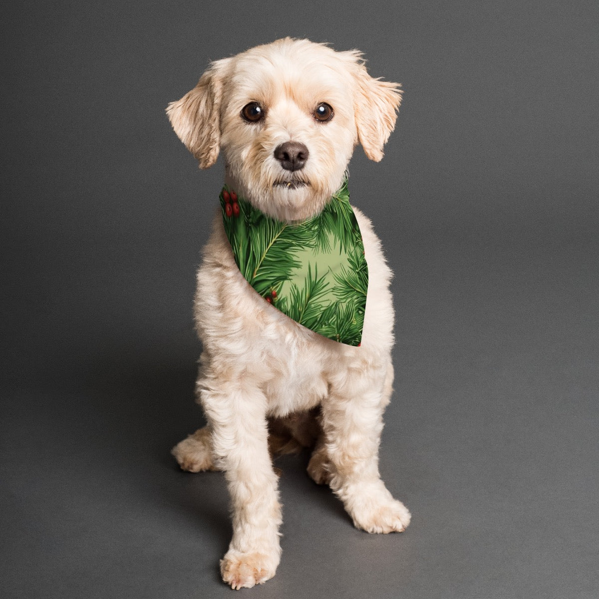 Doggie Touch Grass Scarf